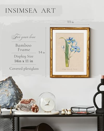 InSimSea Gold Bamboo Framed Wall Art, Blue Iris Botanical Prints, 11x14In - color: Blue Iris