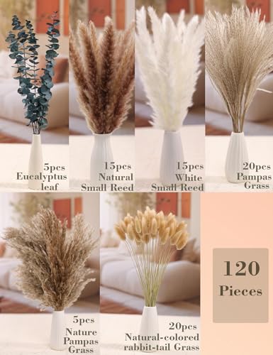 xin's convey 120 PCS Dried Pampas Grass, Dried Flowers, Reed Grass Bouquet for Bohemian Flowers Home Table Wedding Decoration, Rustic Farmhour.(Light Brown) - color: Light Brown