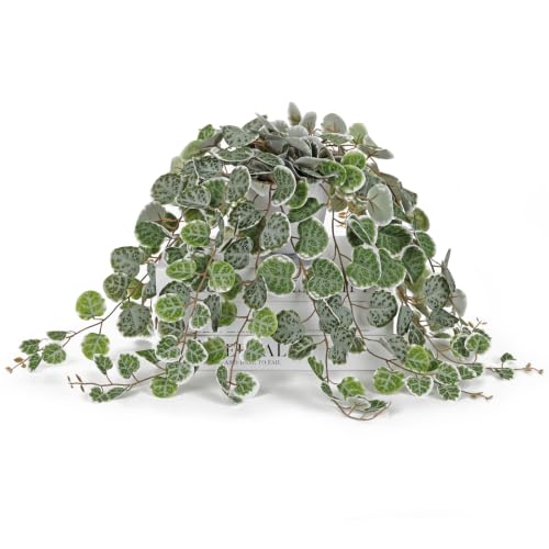 Briful Artificial String of Hearts Plant in Plastic Pot, 15inch Green - color: Green-plastic White Pot