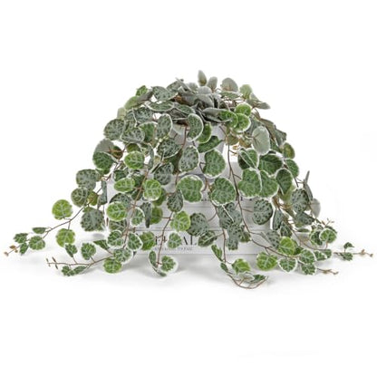 Briful Artificial String of Hearts Plant in Plastic Pot, 15inch Green - color: Green-plastic White Pot