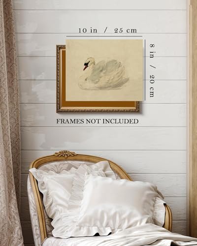 Kizbok Vintage Wall Art Decor Classical Swan Canvas Prints Farmhouse Wall Decor Rustic Watercolor Swan Vintage Art Pictures for Bedroom Bathroom Office Decor(8" x 10"-UNFRAMED) - color: Classical Swan, size: 10"L x 8"W