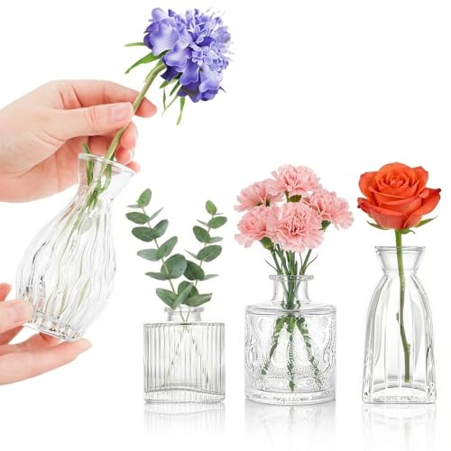 Glass Bud Vases, 4 Pcs Small Flower Vase for Party Table Mini Decorations