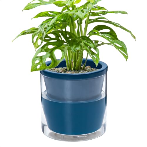 D'vine Dev Self-Watering Blue Terracotta Planter Pot, 6 in, 37-X-B-4 - color: Blue, size: 6 Inch