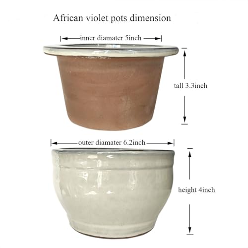 African Violet Pots Self Watering White 6 inch - color: White