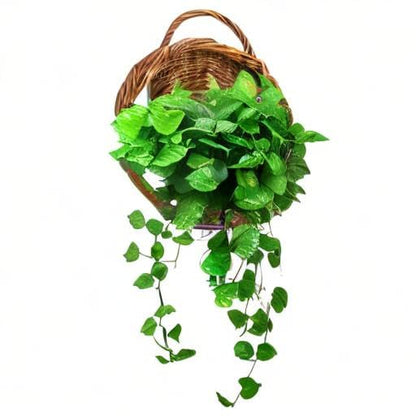 Foraineam Handmade Woven Hanging Basket, Natural Wicker Storage Basket Wall Hanging Flower Pot, Rattan Hanging Planter Container for Home Garden Wedding Wall Decorations