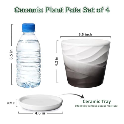 5 Inch Ceramic Plant Pots(5.5 in Diameter),Set of 4 - color: Dark Gray + White, size: 5.5 Inch-4 Pack