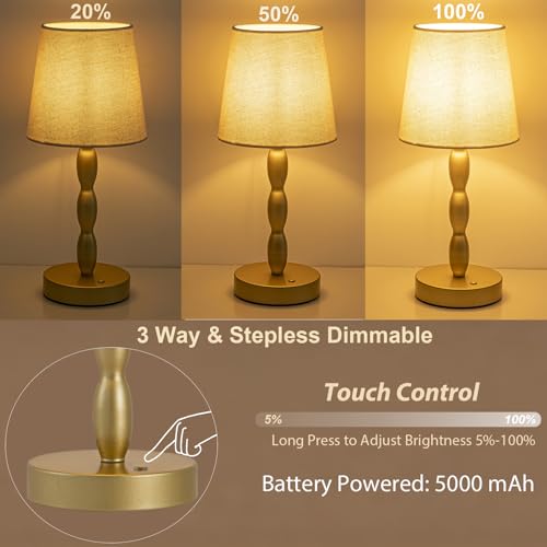 CASTLELIFE Rechargeable Cordless Table Lamp, 5000mAh Battery Powered Touch Desk Lamp, 3-Level & Stepless Dimmable Night Light, Portable Bedside Lamp for Bedroom, Outdoor, Bulb Included, Gold - color: Gold