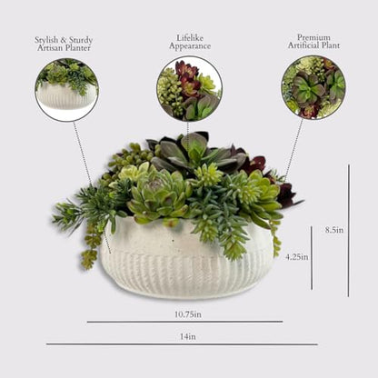 CG Hunter, Round Faux Succulent Arrangement, 12 in, White, Home Decor - size: 12" Round White