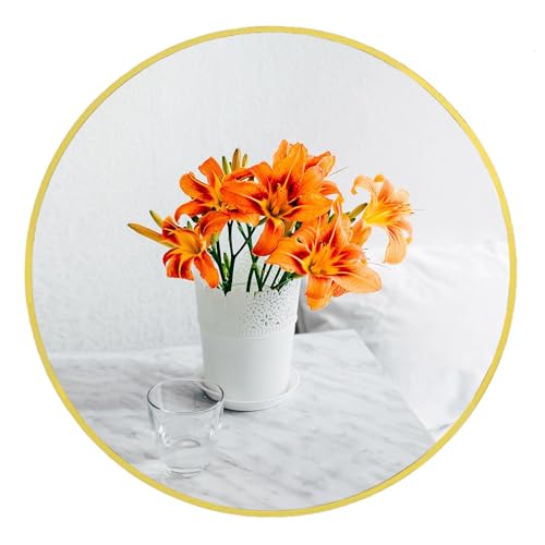 Oruii Small Round Mirror, 16 inch Gold Circle Mirror, Gold Metal Frame - color: Gold, size: 16"L x 16"W