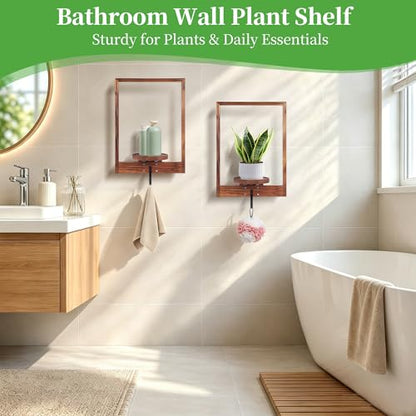 3 Pack Solid Wood Hanging Planters for Indoor Plants Wall Decor with Hooks
