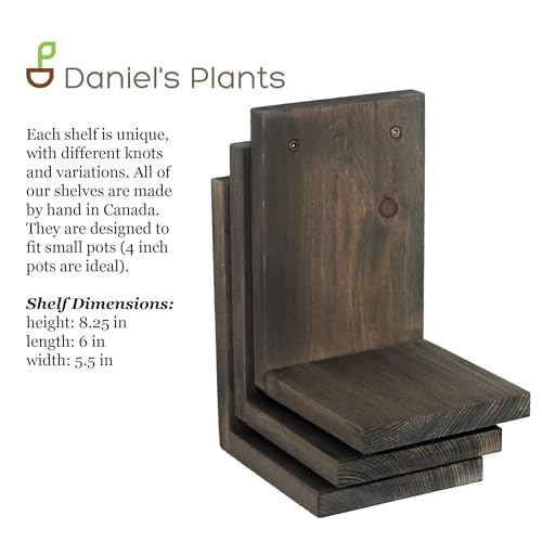 Daniel's Plants 3-Pack Mid-Century Modern L-Shaped Floating Shelves | Solid Wood Plant Wall Shelf Kit | Dusk Grey - color: Dusk Grey