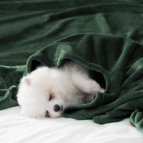 BEAUTEX Fleece Blanket King Size Soft Flannel Throw Lightweight Fuzzy - color: Emerald Green, size: King