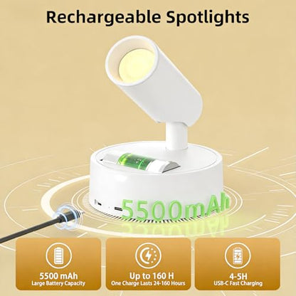 Spot Lights Indoor 5500mAh with Timer, Plant Spot Light Indoor with Remote & 3CCT Dimmable, LED Display Lights Picture Lights for Young, Adults, Women, Tenants, White(2 Pack) - color: 2 x White