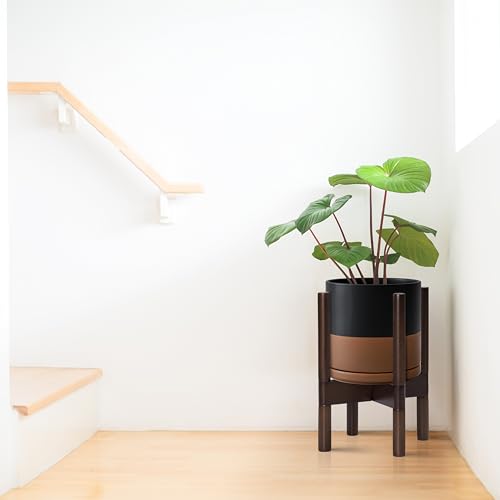 D'vine Dev Ceramic Pot with Walnut Wood Stand, Black/Tan, 8 in, 55-B-Y-7 - color: Black/Speckled Tan Pot + Walnut Color Stand, size: 8 Inch