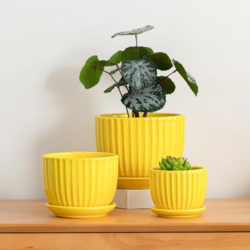 Ceramic Planters,Yellow Plant Pots with Drainage Holes and Saucers Set of 3 - color: Yelllow