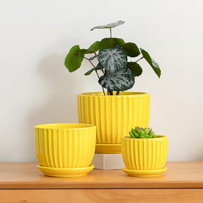 Ceramic Planters,Yellow Plant Pots with Drainage Holes and Saucers Set of 3 - color: Yelllow