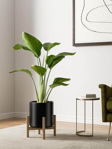 LE TAUCI 10+8+6 Inch Ceramic Pots for Plants, Indoor Planters with Drainage Hole and Plug, Modern Cylinder Flower Pots Set of 3 for Office and Living Room, Satin, Black - color: Black