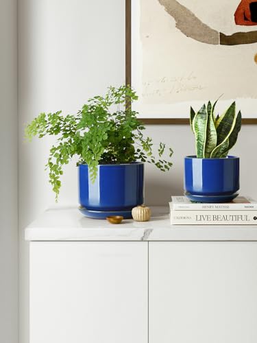 LE TAUCI Ceramic Pots for Plants, 4.3+5.3+6.8 Inch, Set of 3, Sapphire Blue - color: Sapphire Blue, size: 4.3"+5.3"+6.8"