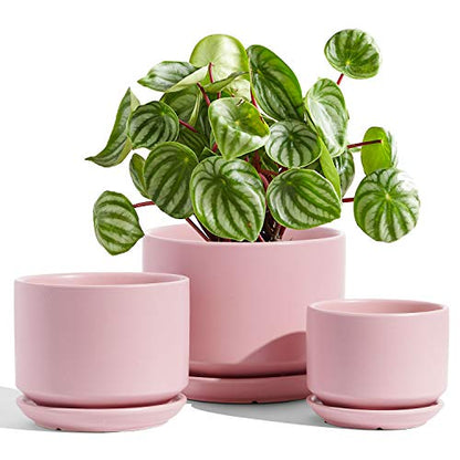 LE TAUCI Ceramic Pots for Plants, 4.3+5.3+6.8 Inch, Set of 3, Pink - color: Pink, size: 4.3"+5.3"+6.8"