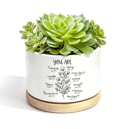 YROVWENQ 3.15 inch Small Ceramic Cactus Planter Pot, No Plants - color: You Are Beautiful