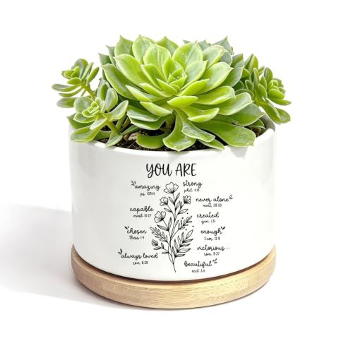 YROVWENQ 3.15 inch Small Ceramic Cactus Planter Pot, No Plants - color: You Are Beautiful