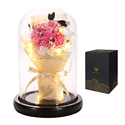Beauty and The Beast Rose,Lasts Forever Pink Roses,Light Up Rose in Glass Dome,Gifts for Women,Birthday Gifts for Mom,Wife,Grandma,Anniversary,Mothers,Thanksgiving,Christmas Flowers Gifts - color: Pink