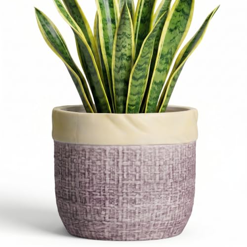 8 Inch Plant Pot, Ceramic Planter, Round Pot for Plants, Purple - color: Purple, size: 8 Inch