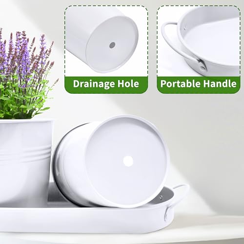 Small Pots for Plants, 3-Pack 4.7 Inch White Metal Herb Pots, Mini Windowsill Planter for Succulent, Cactus, Basil, Mint, Rosemary - color: White