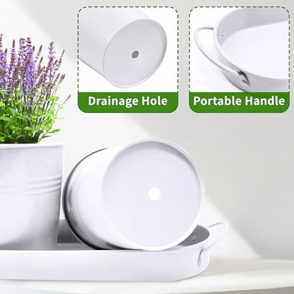 Small Pots for Plants, 3-Pack 4.7 Inch White Metal Herb Pots, Mini Windowsill Planter for Succulent, Cactus, Basil, Mint, Rosemary - color: White