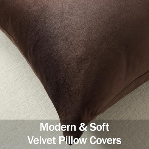 DEZENE Throw Pillow Covers 22x22 Chocolate Brown: Pack of 2 Cozy Soft Velvet Square Modern Luxury Decorative Throw Pillow Cases for Sofa Couch Living Room Bed Home Decor - color: Chocolate Brown, size: 22" x 22" (Pack of 2)