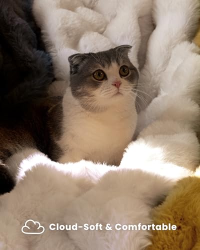 Ultra Soft Cozy Faux Fur Throw Blanket, Fuzzy Plush Thick Bubble Blanket, Luxury Fluffy Blanket for Couch, Sofa, Bedroom, and Living Room, 50x60 Inches, Cream White - color: Cream White, size: Throw(50" X 60")
