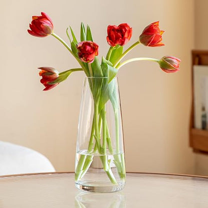 FANTESTICRYAN Modern Glass Vase, 8.7''H Decor Flower Vases, Crystal Clear - color: Crystal Clear