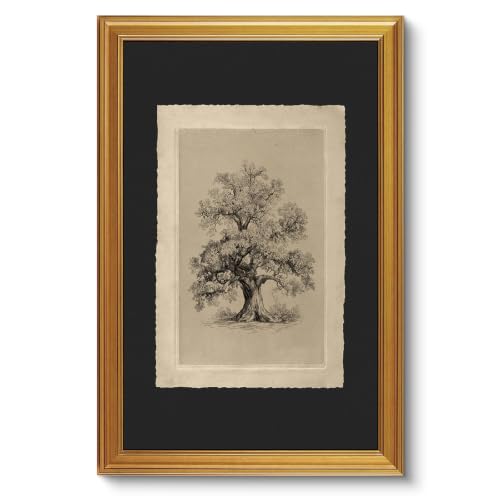 VIYYIEA Large Vintage Gold Framed Wall Art, Botanical Sketch Oak Tree Art - color: dark brown Oak Tree, size: 36"L x 24"W