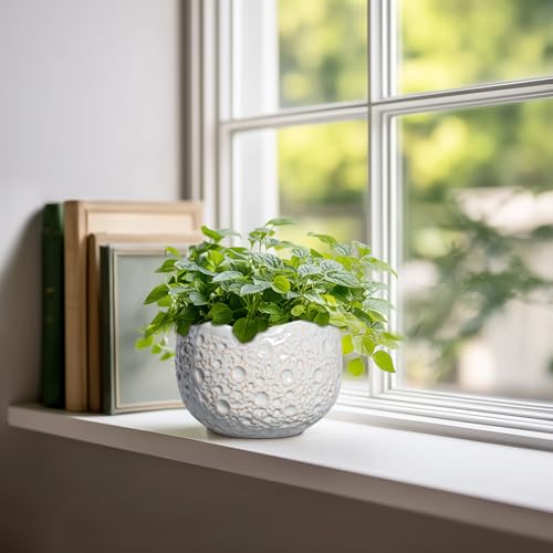 Ceramic Plant Pots 6 Inch, Ceramic Orchid Pot with Drainage, Grey - color: Gray, size: 6.2 Inch