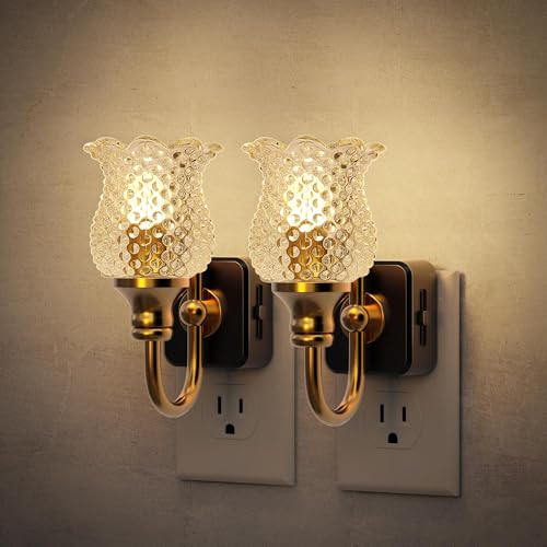 JandCase Night Light, Glass Night Lights Plug into Wall 2 Pack - color: Spotted Flower