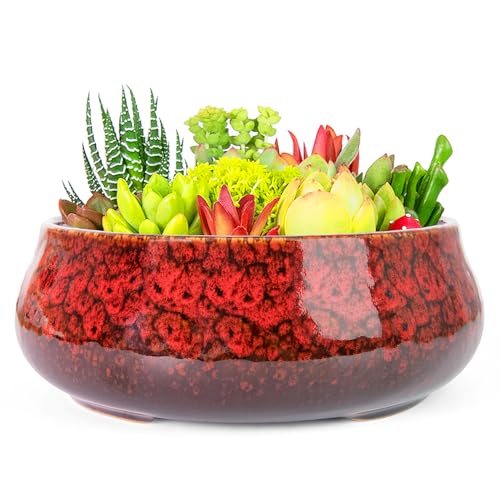 ARTKETTY Succulent Pots with Drainage, 8 Inch Large Plant Pots - color: Red