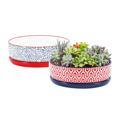 Selamica Ceramic Succulent Pots, Shallow Succulent Planters with Drainage Hole & Saucer, Indoor Plant Pots for Cactus, Home Decor，Assorted Colors,8 inch，Set of 2 - color: Assorted Colors, size: 8 inch