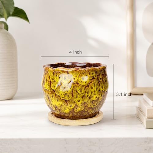 ARTKETTY Succulent Pots, 4 Pack Small Plant Pots with Drainage Tray - color: 4'' Colorful 2