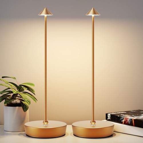 2Pack Rechargeable Cordless Table Lamp, Portable Powered LED Battery 6000mAh Metal USB Desk Lamp, 3 Levels Brightness Light for Restaurants Outdoor (2pack Gold) - color: 2pack Gold