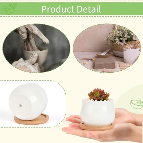 SHECIPIN Succulent Pots, White Mini 2.5 inch Ceramic Flower Planter Pot with Bamboo Tray, Pack of 12 - Plants Not Included - color: 12 Pack White Mini