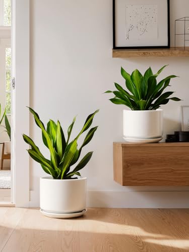 LE TAUCI 8 Inch Plant Pot, Ceramic Pots for Plants, White - color: White, size: 8"