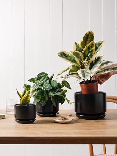 LE TAUCI Ceramic Pots for Plants, 4.3+5.3+6.8 Inch, Set of 3, Black - color: Black, size: 4.3"+5.3"+6.8"