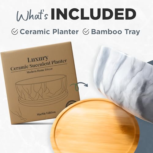 Pastel Marble Inspired 8 Inch Ceramic Succulent Planter with Drainage Hole & Bamboo Tray – Large Wide Round Pot Decorative for Indoor Plants, & Cactus