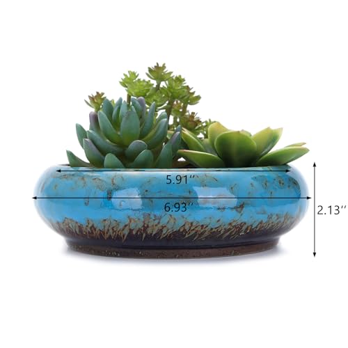 VanEnjoy 7.3 inch Round Large Shallow Succulent Ceramic Glazed Planter Pots with Drainage Hole, Bonsai Pots Garden Decorative Cactus Stand Flower Container (Blue) - color: Blue