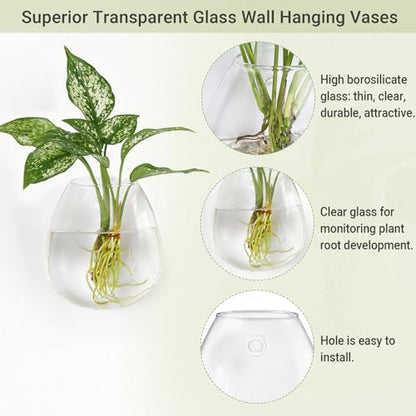 Dahey Wall Propagation Vases, 4 Pack Oblate Borosilicate Glass Planters