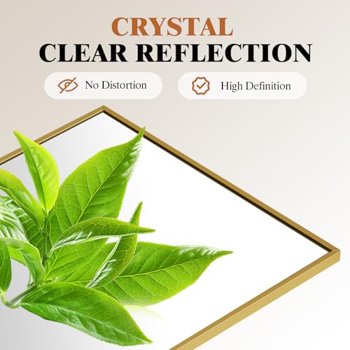 47x14 Inch Full Length Mirror, Door or Wall Hanging Mirror - color: Claccic Gold-rect, size: 47"L x 14"W