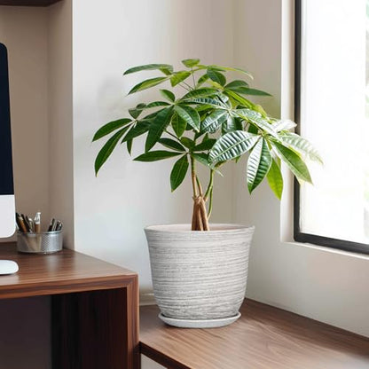 Ceramic Plant Pots, 8 Inch Plant Pot with Drainage, Grey - color: Grey-white, size: 8 Inch