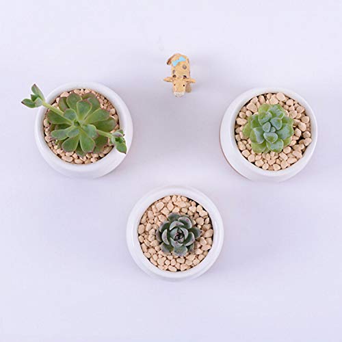 Small Succluent Pot,12Pcs Flower Pots with Drinage,Mini Flower Pots