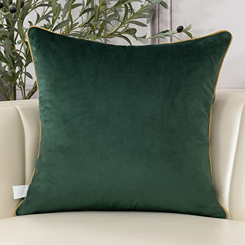 Aeckself European Luxury Velvet Throw Pillow Cover 16 x 16 Inch, Embroidery Floral Pillow Cover Home Decor Pillowcase for Couch Bedroom Living Room, Dark Emerald Green and Gold - color: Green, size: 16" x 16" (Pack of 1)