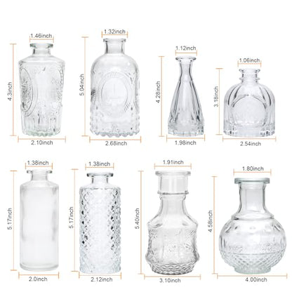 Clear Flower Vase Set, Glass Bud Vase in Bulk Set of 8 - color: Clear, size: 8 pcs
